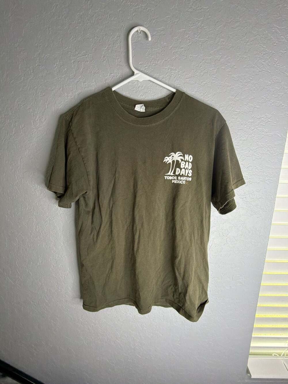 No Bad Days Todos Santos Mexico Iguana Graphic Olive Green T-Shirt